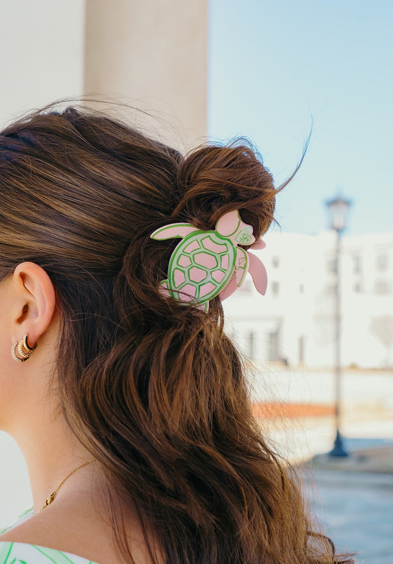 Delta Zeta Hair Claw Clip