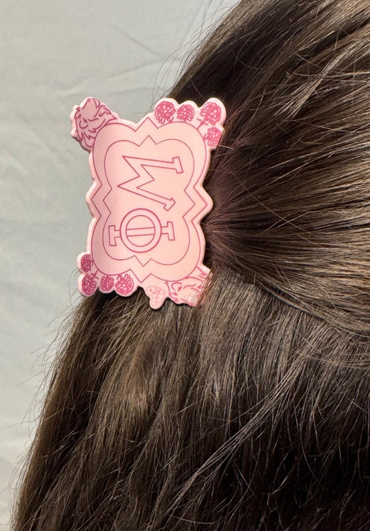 Phi Mu Hair Claw Clip